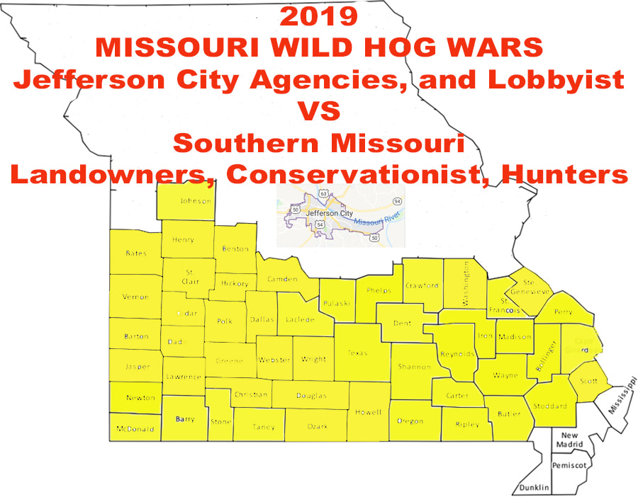 Missouri Wild Hog Wars North American Wildlife And Habitat
